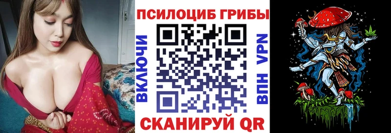 Галлюциногенные грибы Psilocybine cubensis  Белебей 
