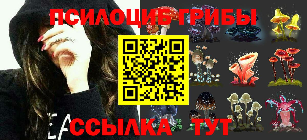 Галлюциногенные грибы Cubensis  Галлюциногенные грибы MAGIC MUSHROOMS  Белебей  купить наркотик  Вход с VPN 